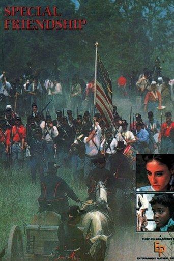 A Special Friendship film afişi