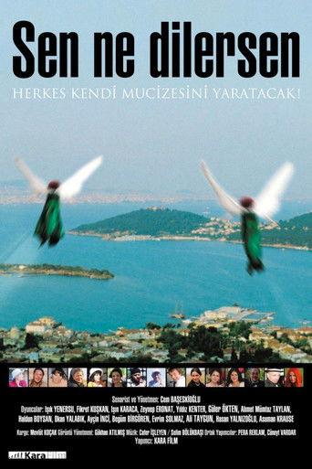 Sen Ne Dilersen film afişi