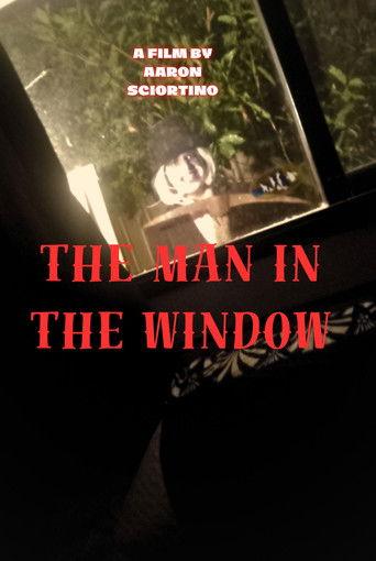 The man in the window film afişi