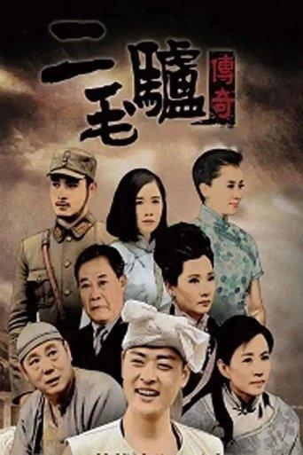 二毛驴传奇 dizi afişi