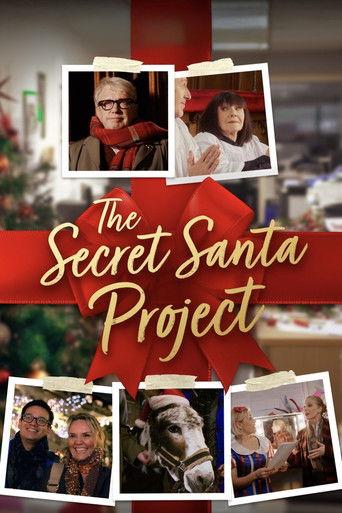 The Secret Santa Project film afişi