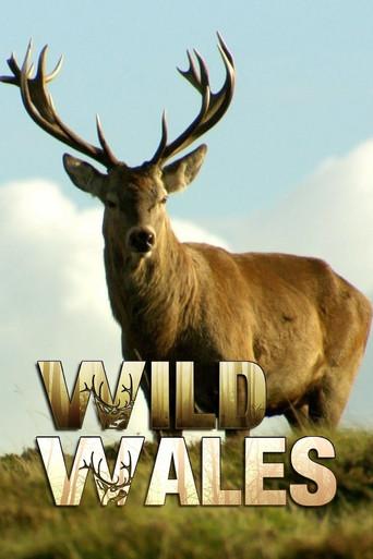Wild Wales dizi afişi