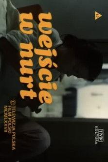 Wejście w nurt film afişi