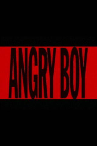 Angry Boy film afişi