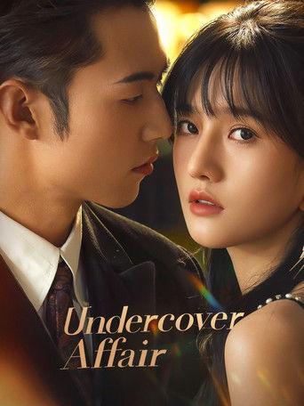 Undercover Affair dizi afişi