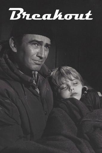 Breakout film afişi