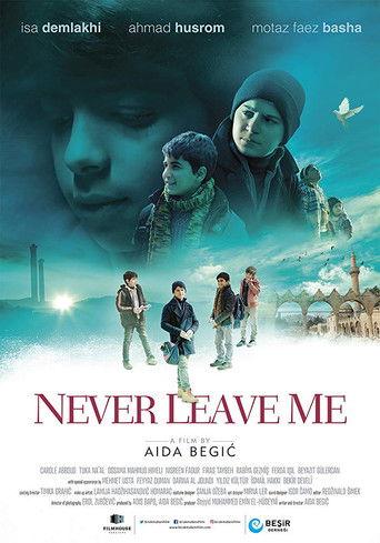 Never Leave Me film afişi