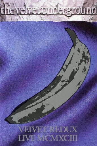 The Velvet Underground - Velvet Redux Live MCMXCIII film afişi