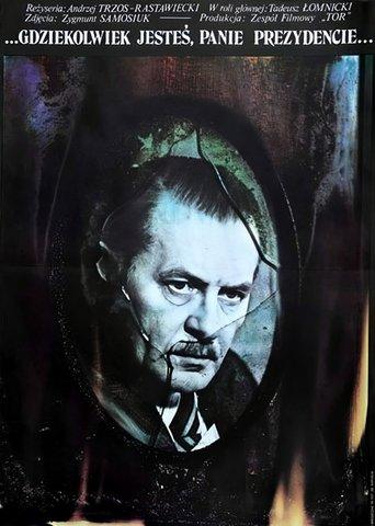 Wherever You Are, Mr. President film afişi