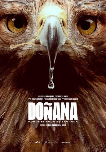 Doñana film afişi