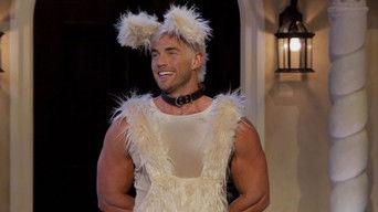 The Golden Bitchelor