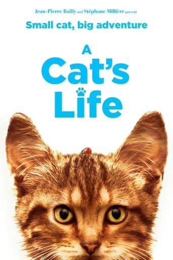 A Cat's Life film afişi
