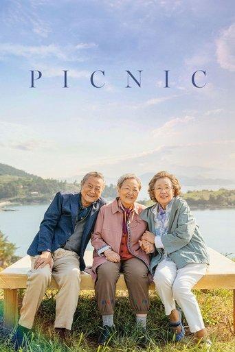 Picnic film afişi