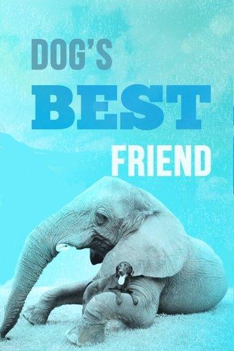 Dog's Best Friend dizi afişi