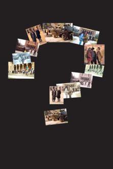 The Timișoara Syndrome film afişi