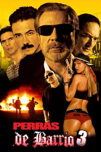 Perras de barrio 3 film afişi