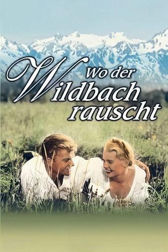 Wo der Wildbach rauscht film afişi