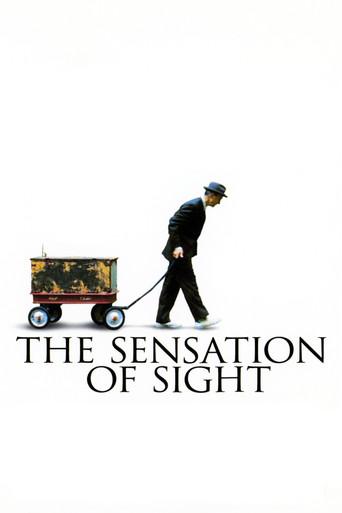 The Sensation of Sight film afişi