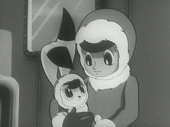 The Penguin Campaign