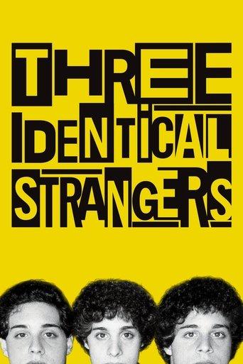 Three Identical Strangers film afişi