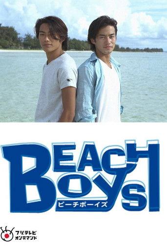Beach Boys Special film afişi