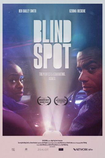 Blind Spot film afişi
