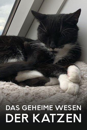 Das geheime Wesen der Katzen film afişi