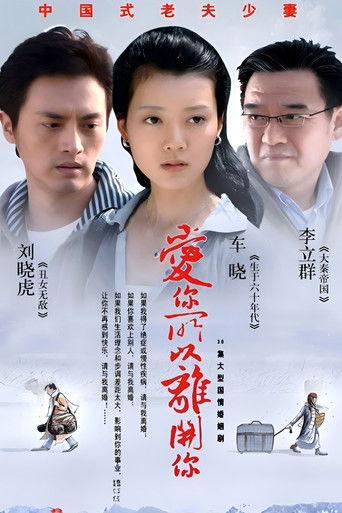 爱你所以离开你 dizi afişi
