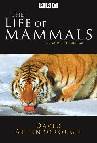 The Life of Mammals dizi afişi