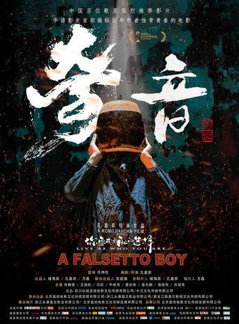 A Falsetto Boy film afişi
