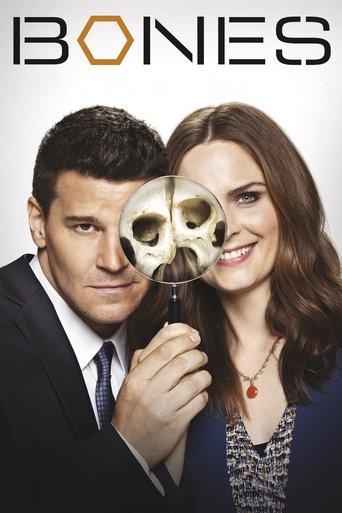 Bones dizi afişi