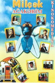 Fly film afişi