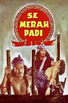 Semerah Padi film afişi