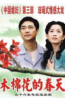 木棉花的春天 dizi afişi