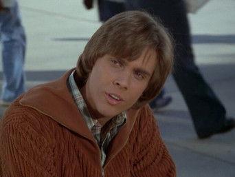 Brotherhood, Sisterhood