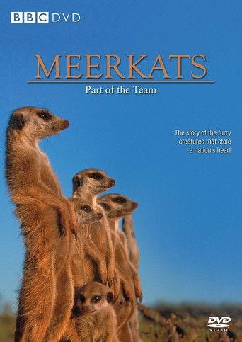 Meerkats: Part of the Team film afişi