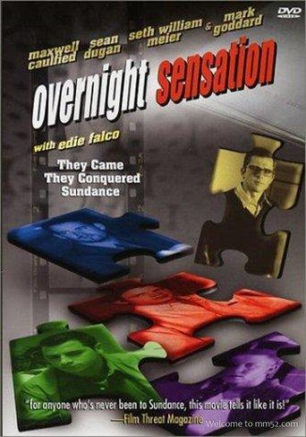 Overnight Sensation film afişi