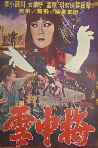 Snow Plum Blossom film afişi