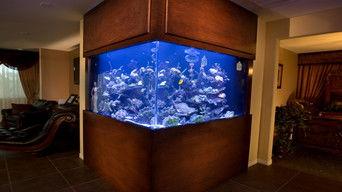 Legal Vending Machine