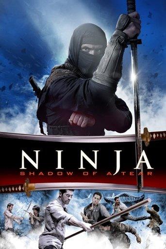Ninja: Shadow of a Tear film afişi
