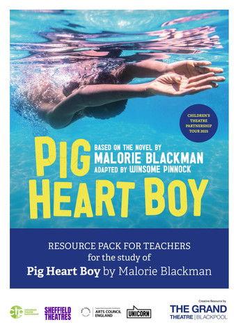 Pig Heart Boy film afişi