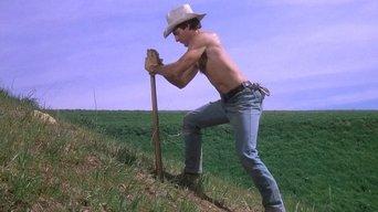 How the Tess Was Won