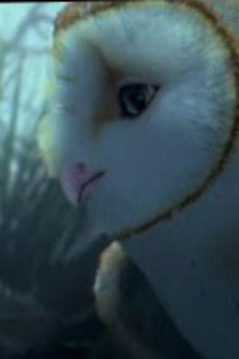 True Guardians of the Earth film afişi