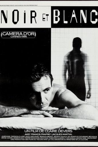 Noir et blanc film afişi