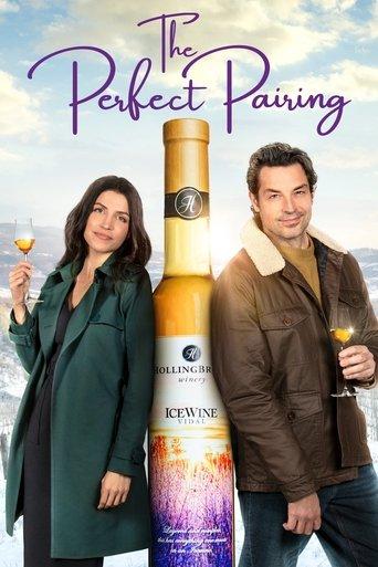 The Perfect Pairing film afişi