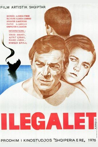 The Illegals film afişi