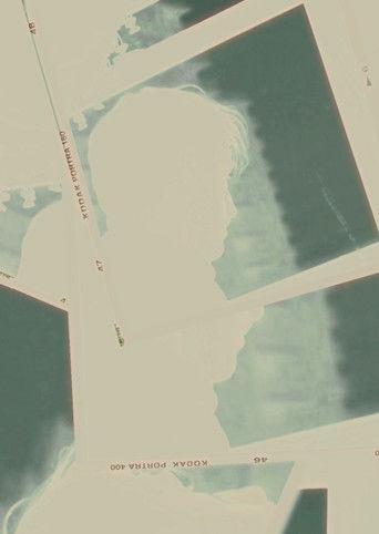 Concealment film afişi