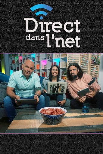 Direct dans l'net dizi afişi