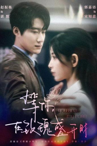 等你，在玫瑰盛開時 dizi afişi