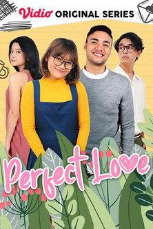 Perfect Love dizi afişi